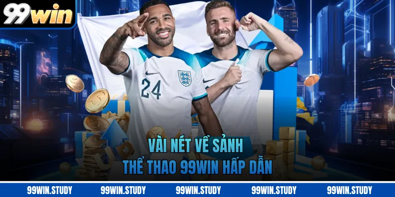 Vài nét về sảnh thể thao 99WIN hấp dẫn